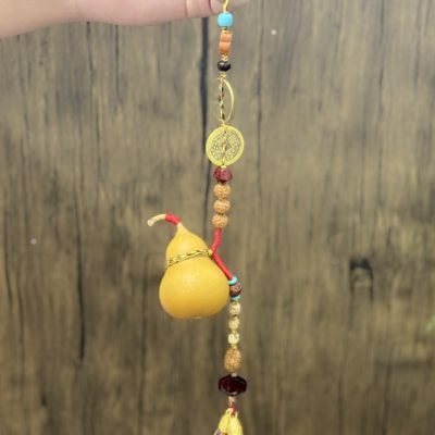 Car hoist pendant