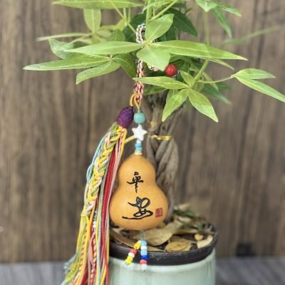 Carved peace gourd pendant
