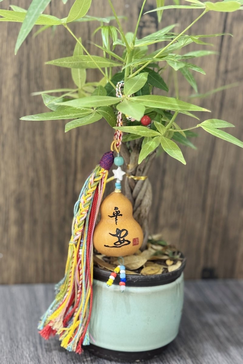Carved peace gourd pendant